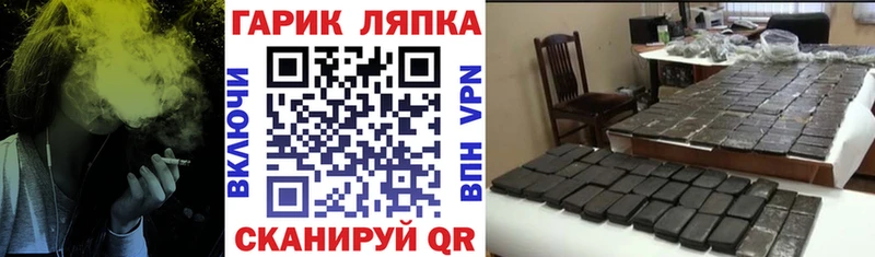 ГАШ Изолятор  Оса 